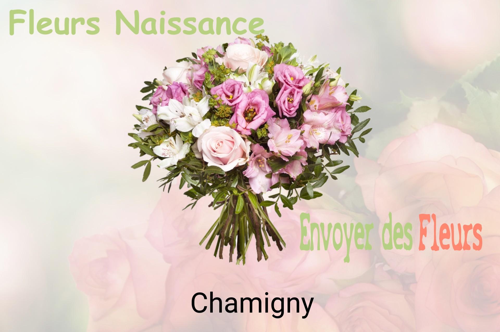 Bouquet de fleurs de naissance livré à Chamigny